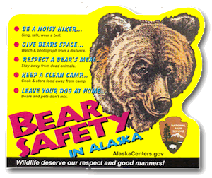 Bear Safety Pic